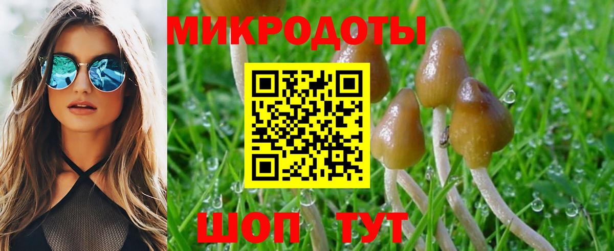 Псилоцибиновые грибы Magic Shrooms  Вход с VPN  Псилоцибиновые грибы мухоморы  Россия 
